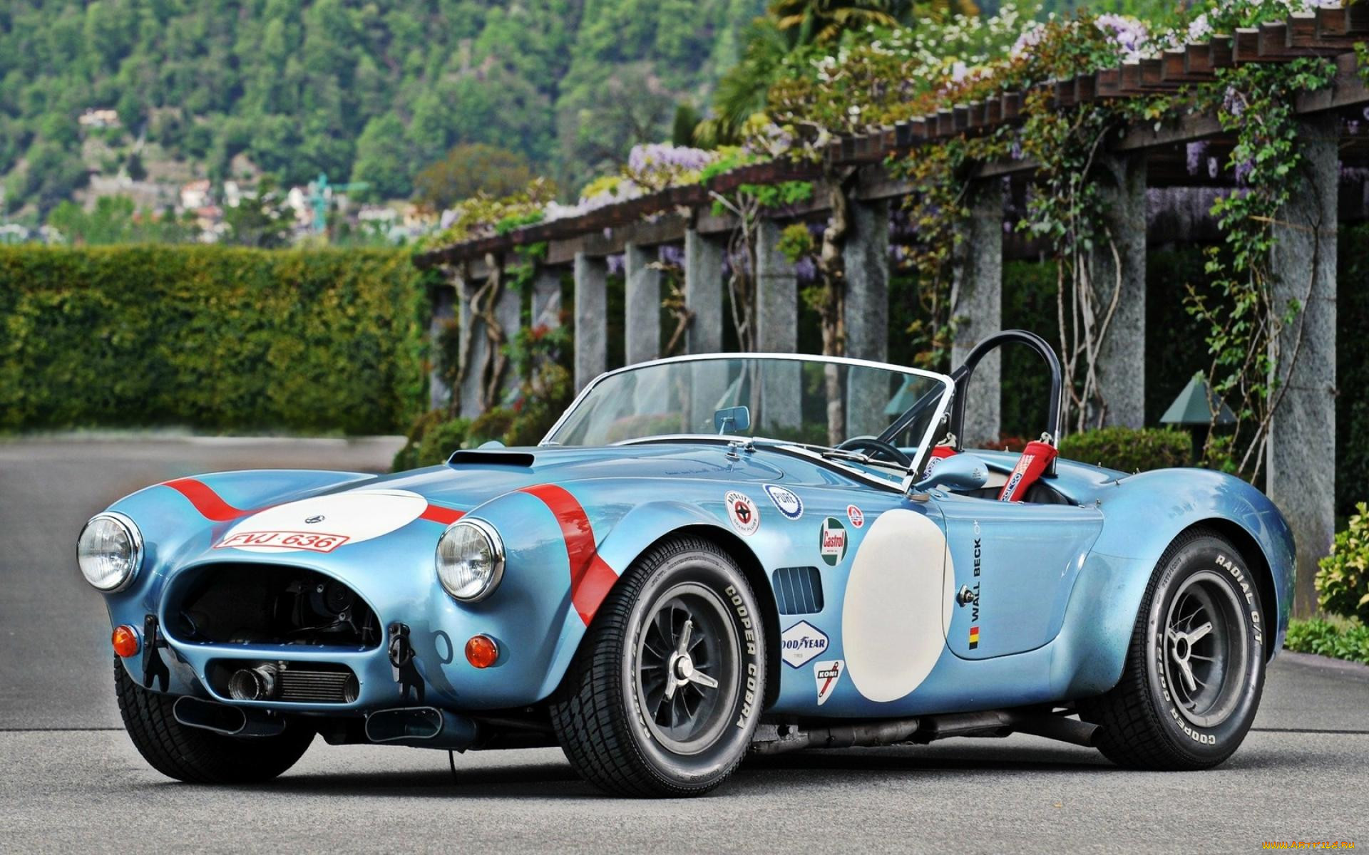 Ford Shelby AC Cobra